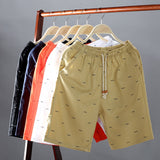 Cotton Casual  Bermuda Shorts